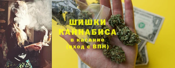 крисы Дмитриев