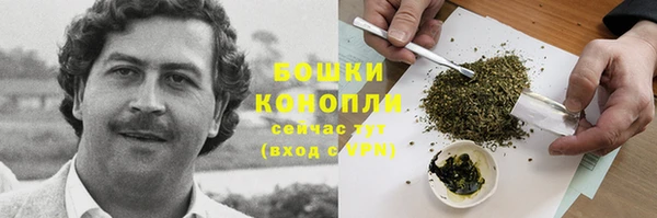 дмт Дмитров