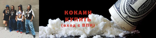СК Дмитровск