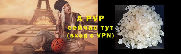 дмт Дмитров