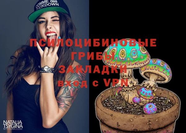 СК Дмитровск