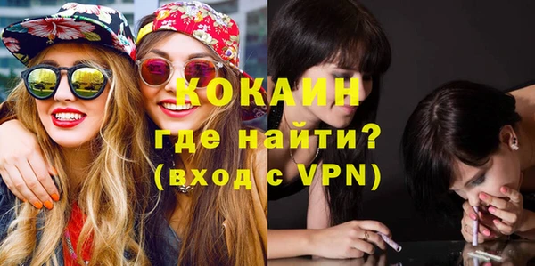 дмт Дмитров