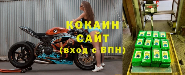 СК Дмитровск