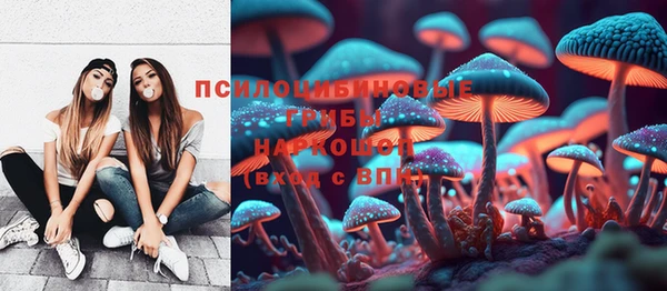 дмт Дмитров