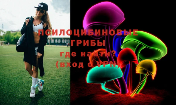 крисы Дмитриев