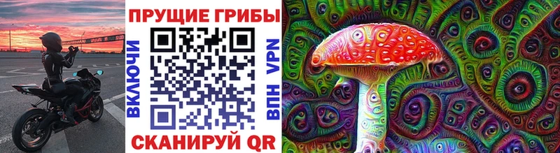 Купить закладки  Кузнецк  Псилоцибиновые грибы прущие грибы 